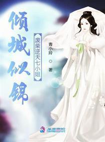 耀世神凰,传奇凤凰的辉煌传奇与不朽传说